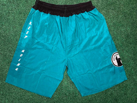Mens Shorts - Teal