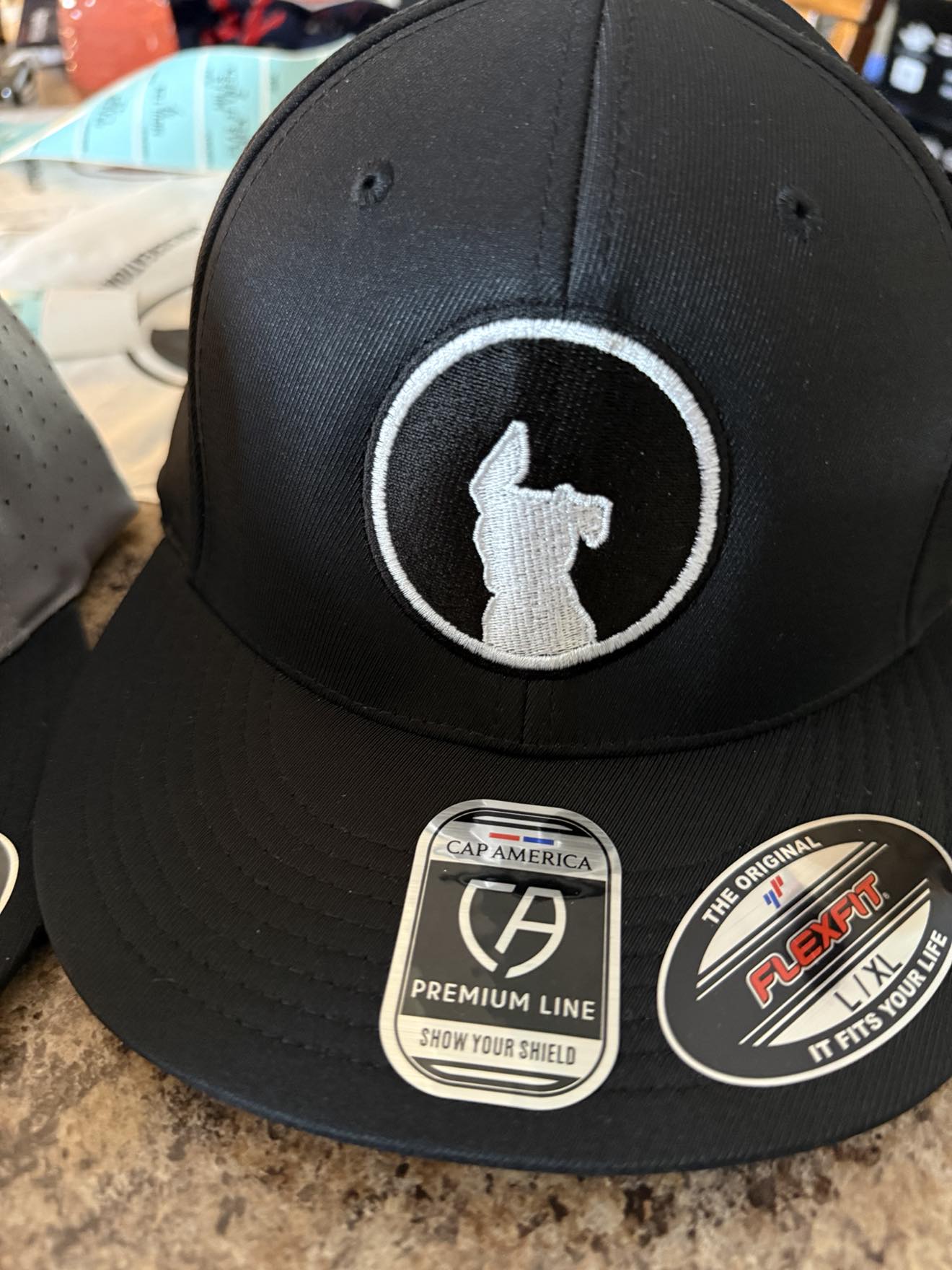Black with White DDA Logo Hat