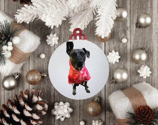 Custom Christmas Ornament - Merlscreations