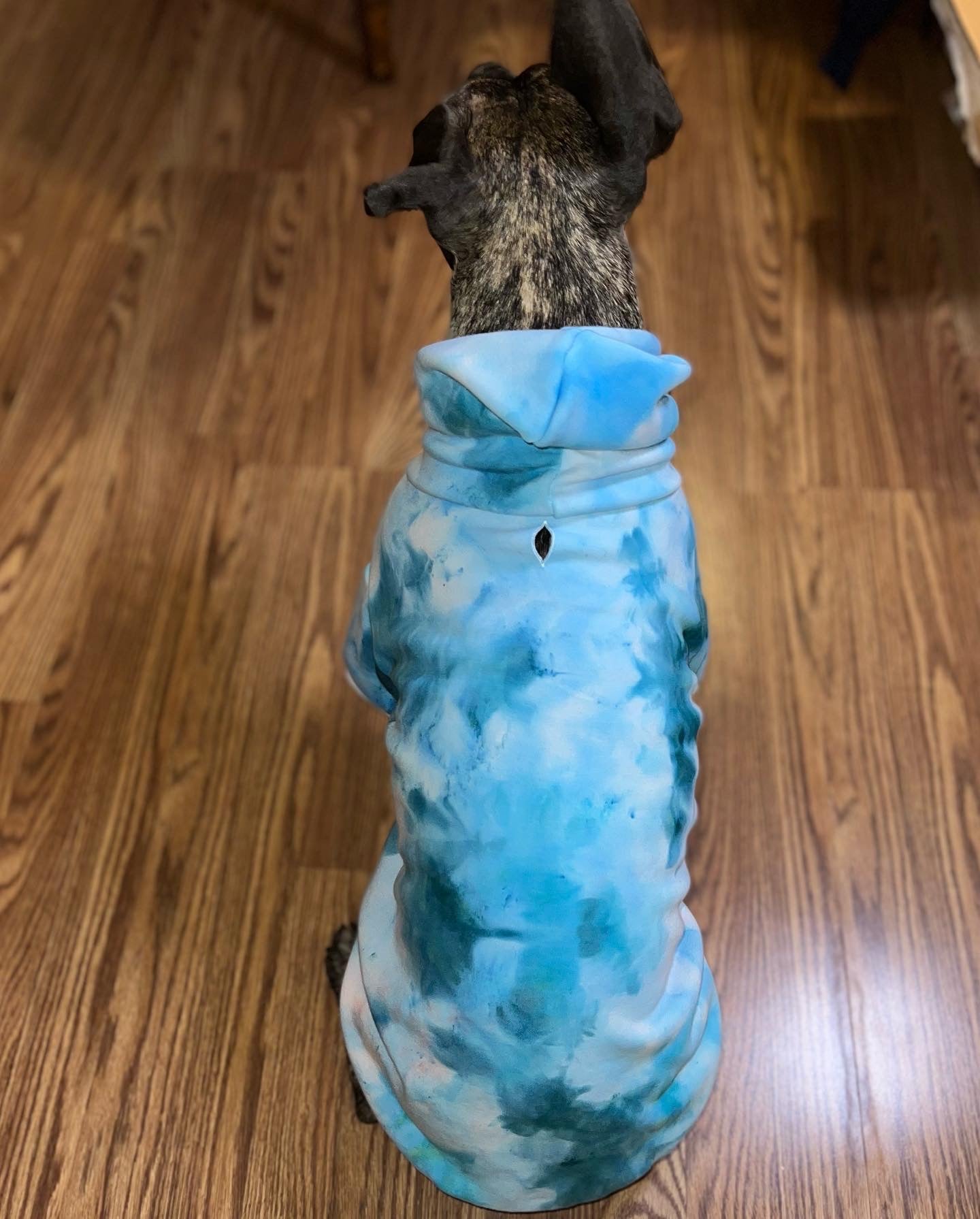 PRE-ORDER --DOG HOODIE - TIE DYE - Merlscreations