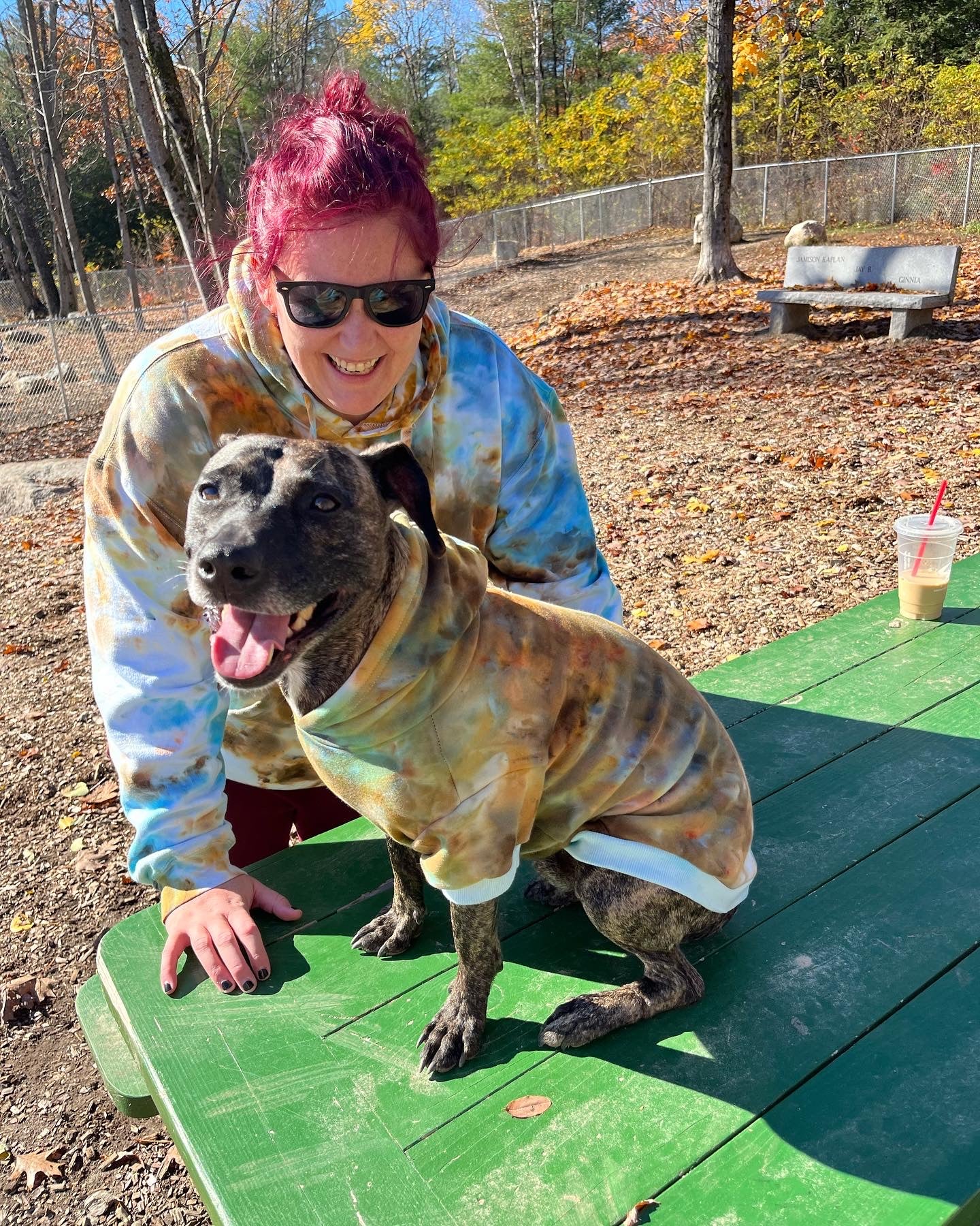 PRE-ORDER --DOG HOODIE - TIE DYE - Merlscreations