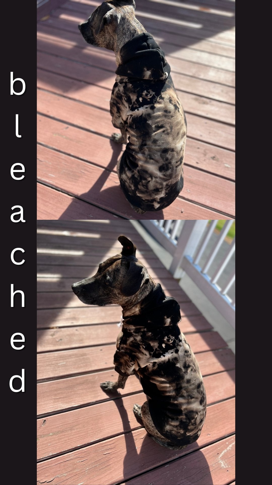 PRE-ORDER --DOG HOODIE - TIE DYE - Merlscreations